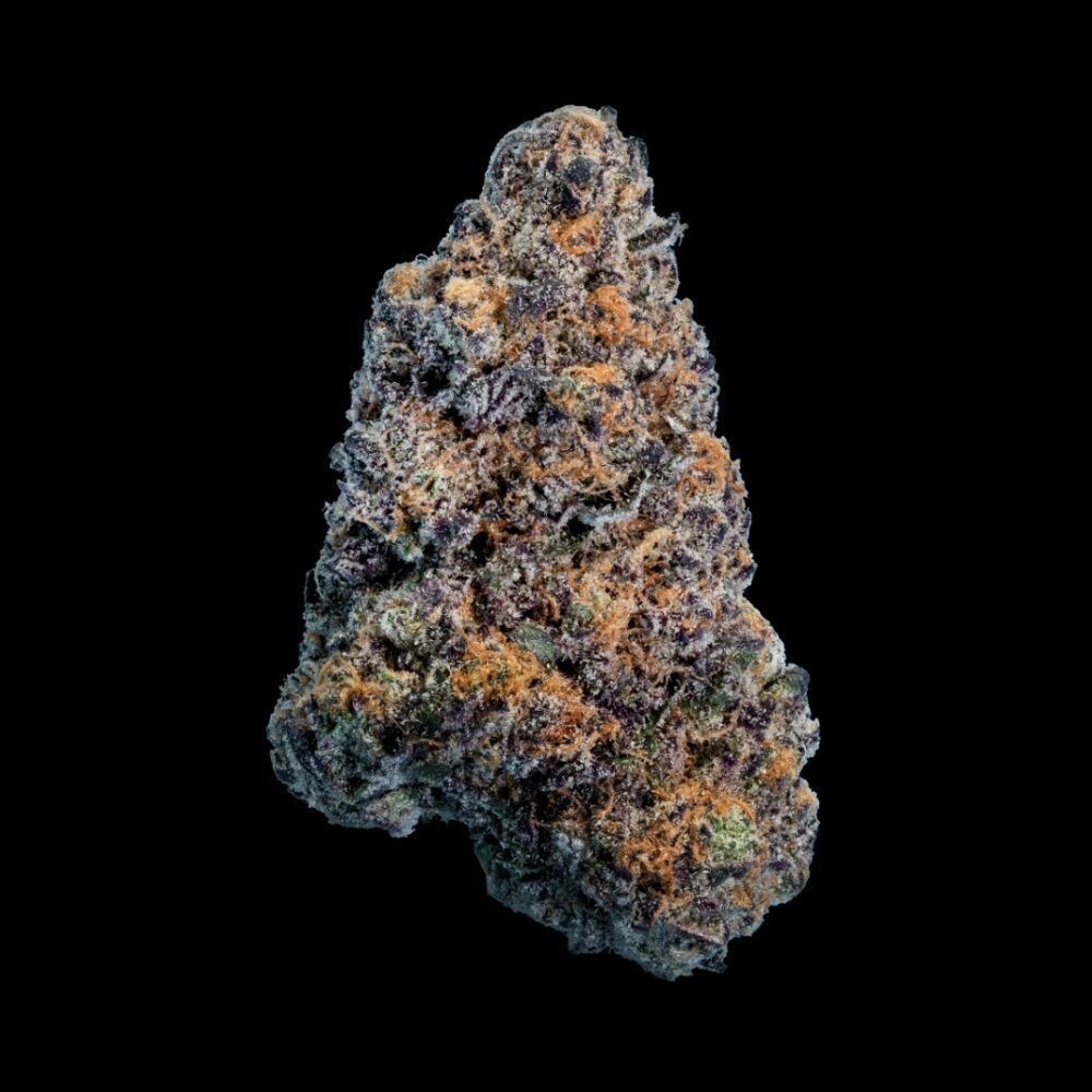 PULP FRICTION – HYDROPONIC